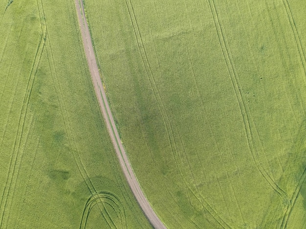 Luftaufnahme eines grünen ländlichen Gebiets mit Straße