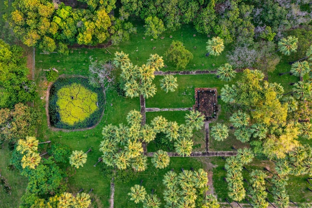 Luftaufnahme eines industriellen Palmöl-Plantagenmusters