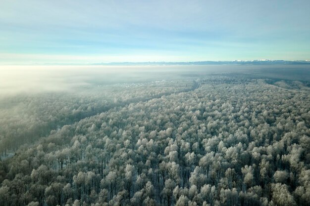 Foto luftaufnahme eines schneebedeckten weißen waldes mit gefrorenen bäumen im kalten winter dichte wilde wälder im winter