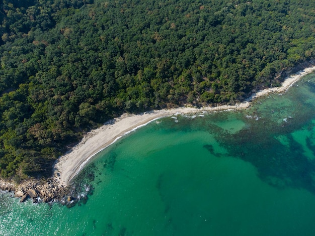 Luftaufnahme eines schönen Strandes mit Wald und Felsen