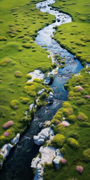 Luftaufnahme eines Stroms in Gras und Blumen in Khutoyarit Ulaanbaatar