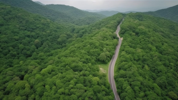 Luftaufnahme eines Waldbaums mit Auto-Ökosystem-Umweltkonzept. Landstraße, die durch den grünen Wald und die Berge führt