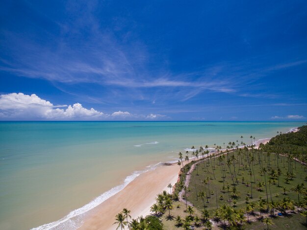 Luftaufnahme Grünes Meer an einer brasilianischen Strandküste an einem sonnigen Tag in Barra do Cahy,