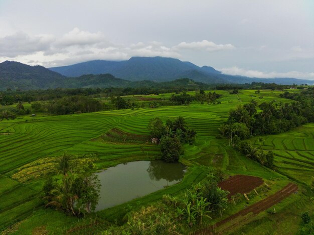 Luftaufnahme schöne Morgenansicht aus Indonesien über Berg und Wald