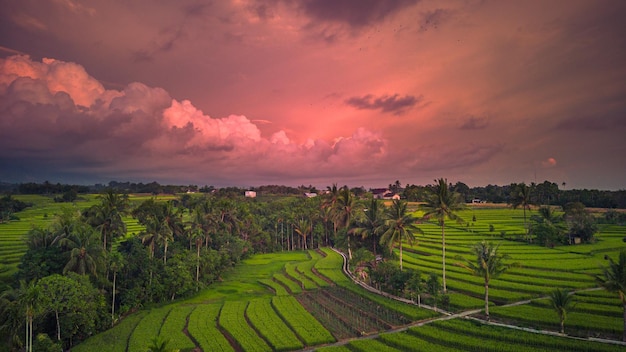 Luftaufnahme schöne Morgenansicht aus Indonesien über Berg und Wald