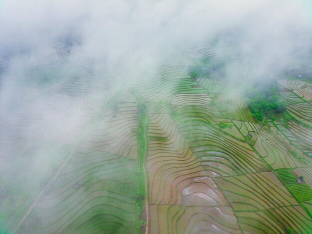 Luftaufnahme schöne Morgenansicht aus Indonesien über Berg und Wald