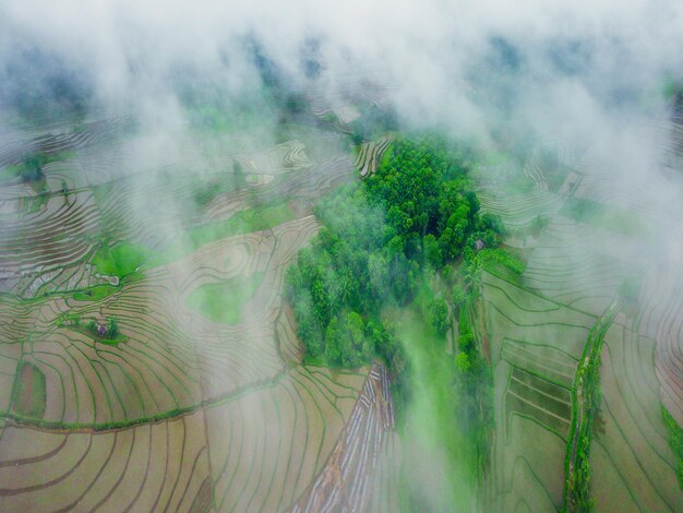 Luftaufnahme schöne Morgenansicht aus Indonesien über Berg und Wald