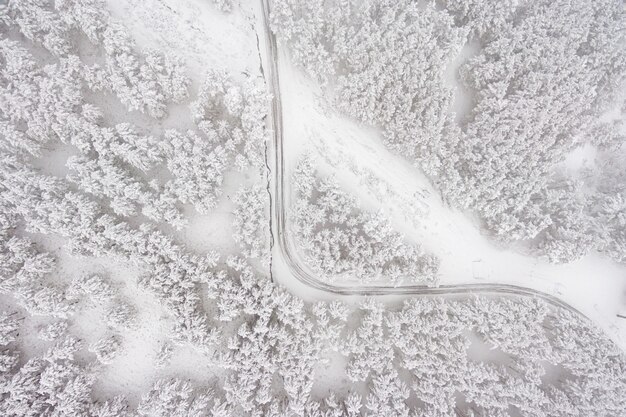 Luftaufnahme über die Straße und den Wald zur Winterzeit. Schneebedeckter Wald, natürliche Winterlandschaft.