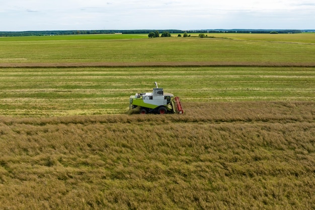 Luftaufnahme über moderne schwere Erntemaschinen entfernen das reife Weizenbrot im Feld Saisonale landwirtschaftliche Arbeit