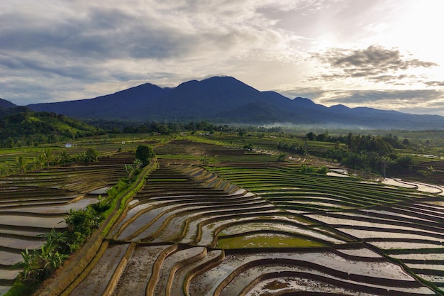 Luftaufnahme von Asien in indonesischen Reisfeldern mit Bergen bei Sonnenaufgang