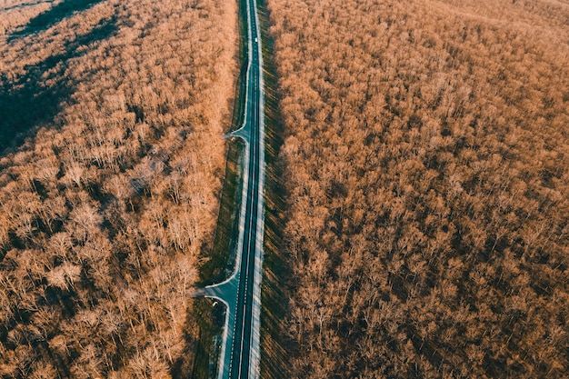 Luftaufnahme von Autos, die auf Asphaltstraße in blattlosem Wald fahren, filmische Drohnenaufnahme, die über die gerade Autobahn in den Bergen fliegt