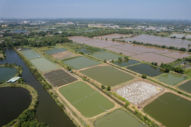 Luftaufnahme von der fliegenden Drohne der Fischteich-Fischfarm