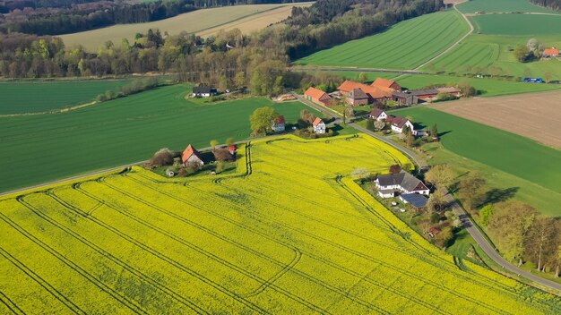 Foto luftaufnahme von gelben rapsfeldern auf deutscher landschaft mit drohnen