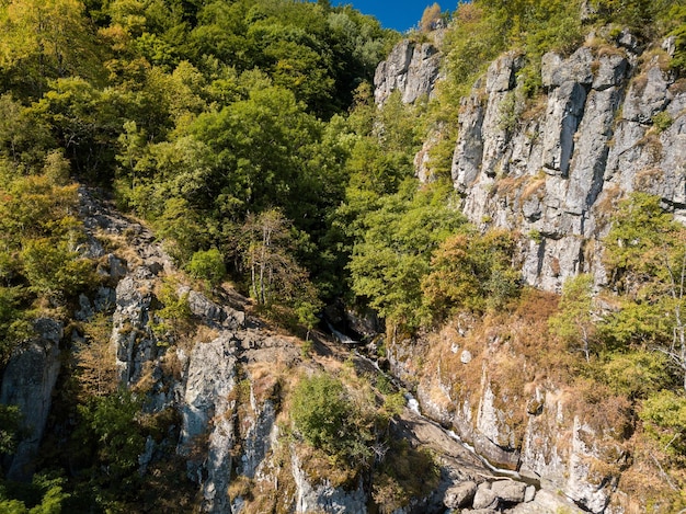 Luftaufnahme von grünen Bäumen auf einem felsigen Berg