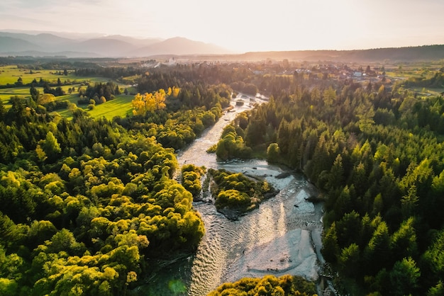 Luftaufnahme von grünen Herbstbäumen im Wald in der Slowakei Drohnenfotografie Regenwaldökosystem und gesundes Umweltkonzept Gebirgsfluss xDxA
