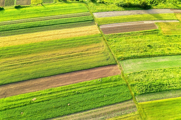 Luftaufnahme von grünen landwirtschaftlichen Feldern im Frühjahr mit frischer Vegetation nach der Aussaatsaison an einem warmen sonnigen Tag.