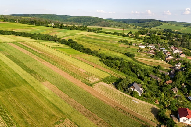 Luftaufnahme von grünen landwirtschaftlichen Feldern im Frühjahr mit frischer Vegetation nach der Aussaatsaison