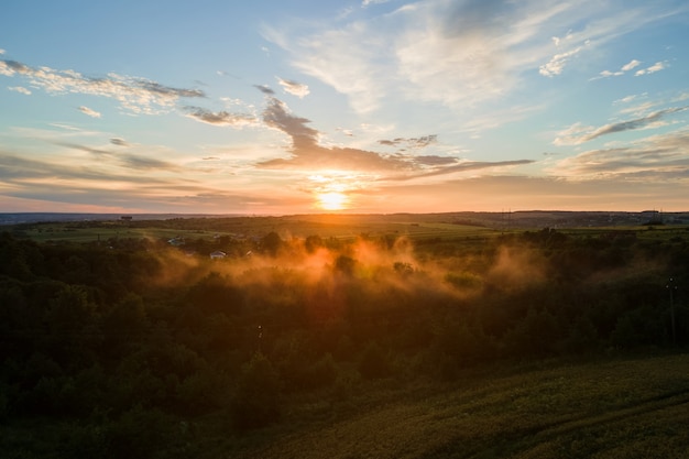 Luftaufnahme von hellem Nebel, der dunkle Waldbäume bei warmem Sonnenuntergang bedeckt.