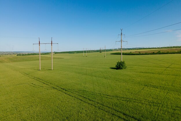 Luftaufnahme von Hochspannungsmasten und Fliegen über ein Weizenfeld Moderne Landwirtschaftsdrohne, die im Frühjahr über das grüne Weizenfeld fliegt