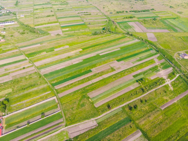 Luftaufnahme von landwirtschaftlichen Feldern