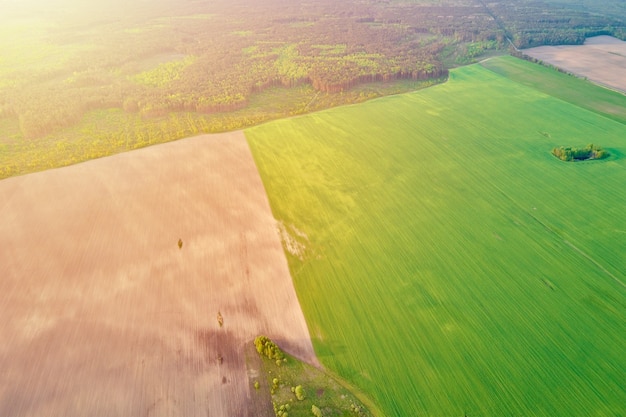 Luftaufnahme von landwirtschaftlichen und grünen Feldern in der Landschaft