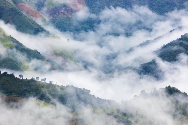 Luftaufnahme von Nebelwolken und Nebel, die nach einem Sturm über einem üppigen tropischen Regenwald hängen