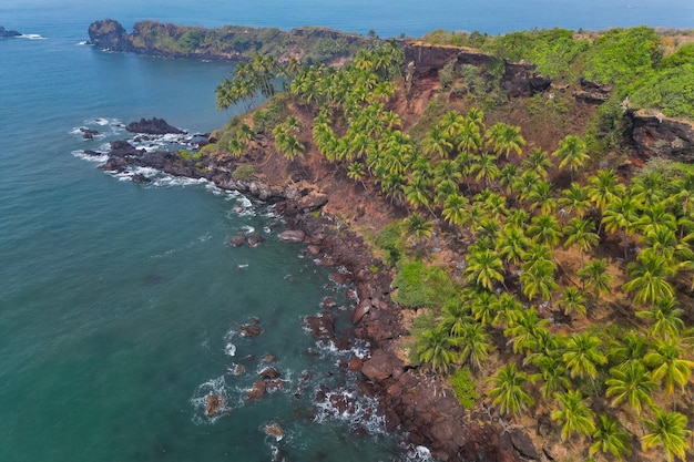 Luftaufnahme von oben auf den tropischen Strand mit grünen Palmen unter Sonnenlicht Drohnenansicht in Goa