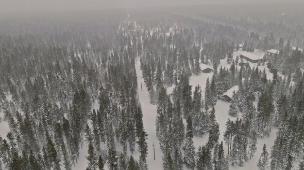 Luftaufnahme von oben mysteriöse fantastische Winterpanoramalandschaft mit schneebedecktem Wald bei starkem Schneefall