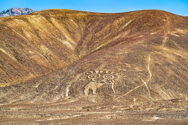 Luftaufnahme von Palpa-Geoglyphen. UNESCO-Welterbe in Peru