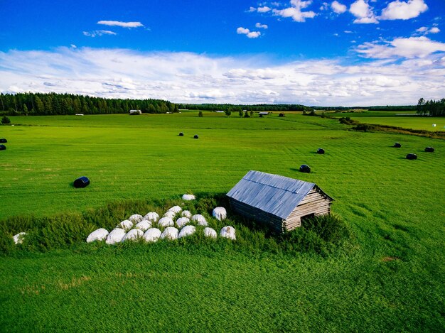 Luftaufnahme von runden Strohballen aus schwarzem Kunststoff auf grünem Feld im ländlichen Finnland Schöne Landschaft