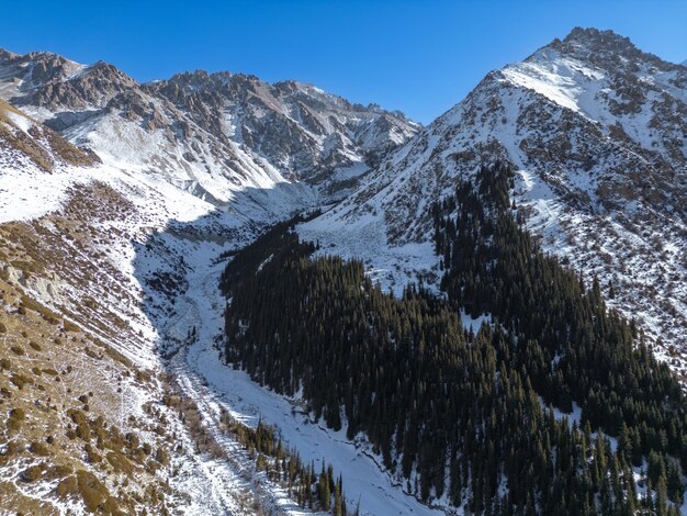 Luftaufnahme von schneebedeckten Bergen und Tannen im Winterpark