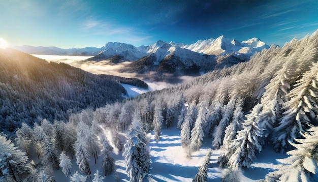 Luftaufnahme von schneebedeckten Winterwäldern und Bergen Natürliche Landschaft von einer Drohne