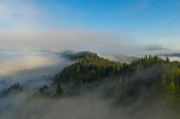 Luftaufnahme von schönen Bergen und Nadelbäumen am nebligen Morgen