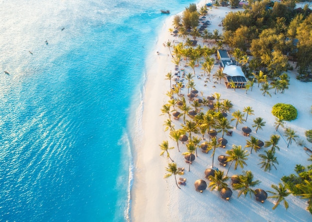 Luftaufnahme von Sonnenschirmen, grünen Palmen am Sandstrand bei Sonnenuntergang. Sommerurlaub in Sansibar, Afrika. Tropische Landschaft mit Palmen, Sonnenschirmen, weißem Sand, blauem Wasser, Wellen, Menschen. Ansicht von oben