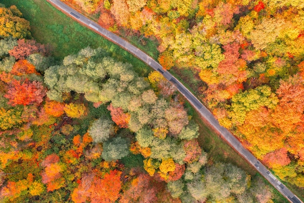 Luftaufnahme von Wald und Straße im Herbst mit bunten Bäumen. Drohnenfotografie. Erstaunliches Naturland