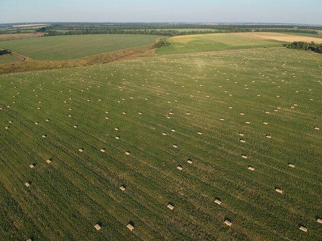 Luftaufnahme zu gestapeltem Heu auf dem Weizenfeld unter Himmel. Ambrosia Feld. Drohnenfotografie.