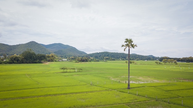 Luftaufnahmefoto vom Fliegenbrummen der Landschaft von Chiang Mai