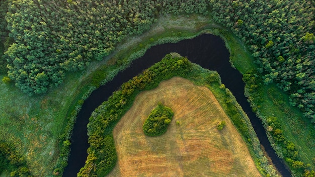 Luftaufnahmen des Flusses und des Waldes, Draufsicht