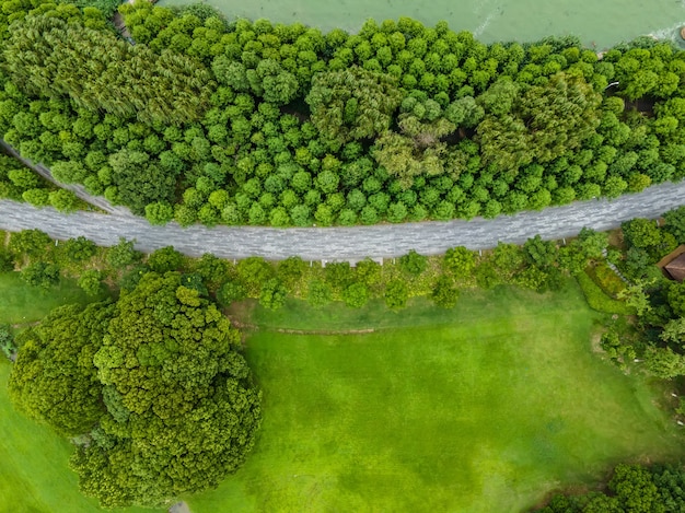 Luftaufnahmen Stadtparklandschaft