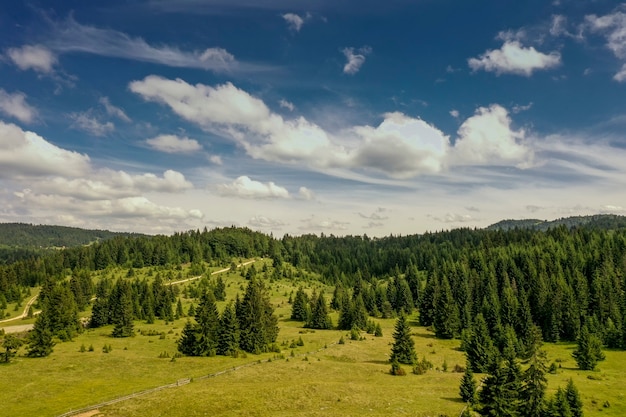 Luftbild am Bergwald an einem Sommertag