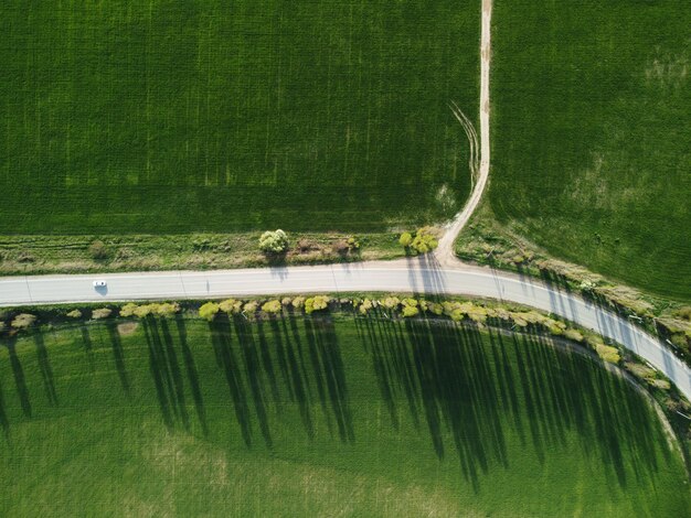 Luftbild auf grünem Weizenfeld im ländlichen Weizenfeld, das bei Sonnenuntergang im Wind weht