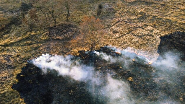 Luftbild brennendes trockenes Gras offene Flammen von Feuer und Rauch gelbes trockenes Gras und schwarze Asche verbrannte Pla