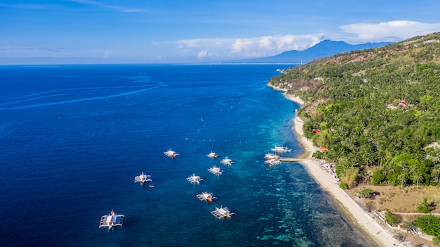 Luftbild Bucht und Küste in Oslob, Cebu, Philippine, Es ist der beste Ort zum Schnorcheln und Tauchen und Walhai-Beobachtung.