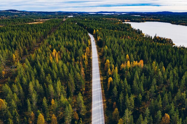 Luftbild der Herbstlandschaftsstraße im schönen Herbstwald in Finnland