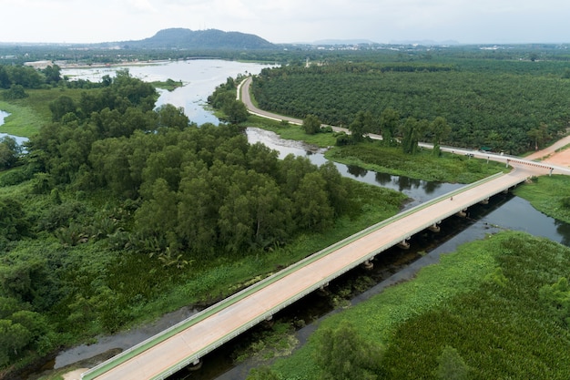 Luftbild-Drohnenschuss der Straße zwischen Sommerwald der grünen Wiese und Fluss und See in suratthani Thailand.