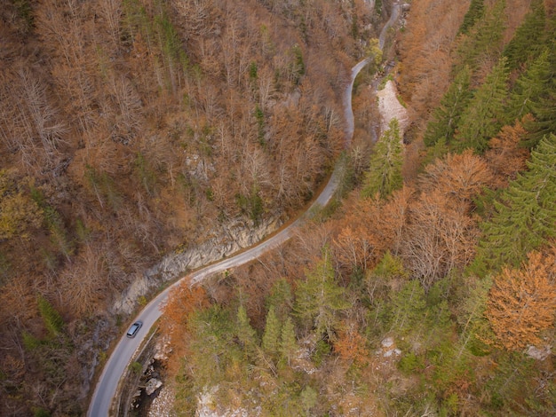 Luftbild eines herbstlichen Waldes, durch den eine kurvenreiche Straße in die Berge führt