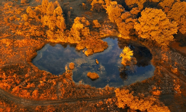 Luftbild eines kleinen Sees im Herbstwald am frühen Morgen bei Sonnenaufgang. Schöne Herbstlandschaft von einer Drohne erschossen.