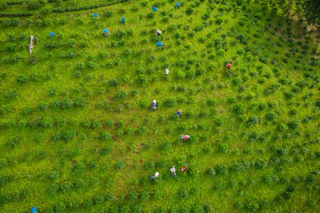 Luftbild landwirtschaftlicher Bereich