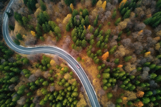 Luftbild Straße im mittleren Wald Draufsicht Straße durch grünen Wald Abenteuer Ökosystem Ökologie gesunde Umwelt Road Trip Reisen