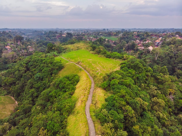 Luftbild von Campuhan Ridge Walk, Scenic Green Valley in Ubud Bali. Foto von der Drohne.